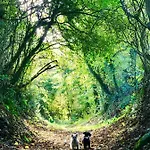 Εξοχικό σπίτι La Bichurie Feugeres