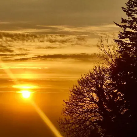 La Bichurie Feugeres