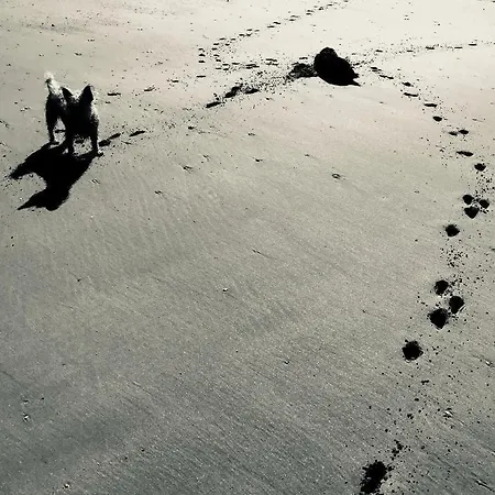 La Bichurie * Feugeres