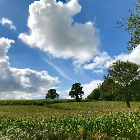La Bichurie * Feugeres