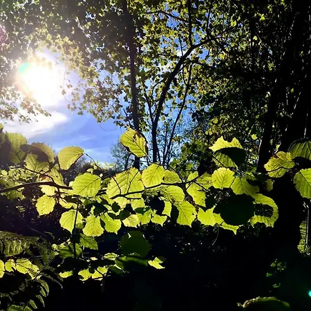 La Bichurie Летний дом *