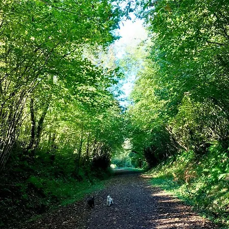 La Bichurie Летний дом Feugeres