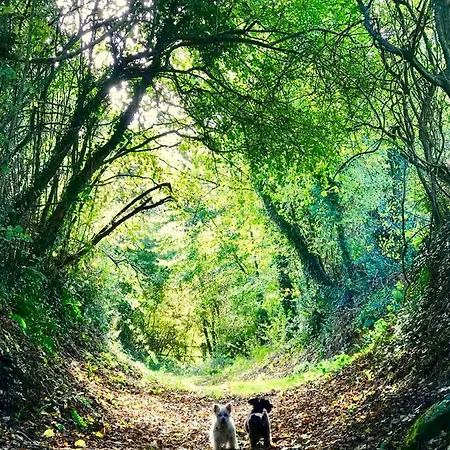 Летний дом La Bichurie Feugeres