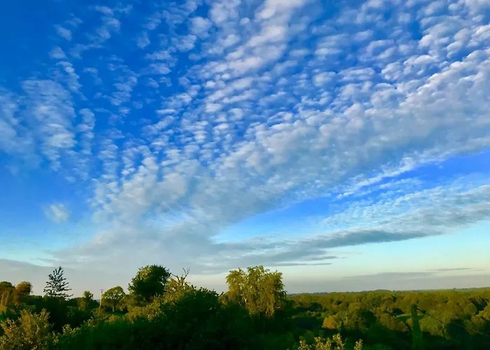 Летний дом La Bichurie