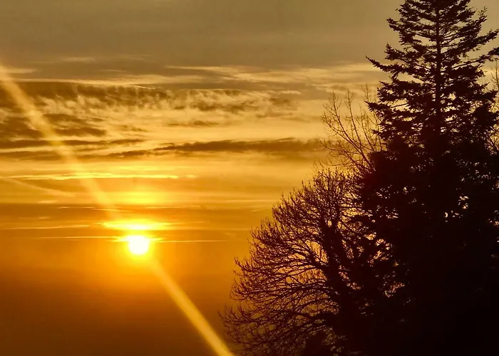 La Bichurie Feugeres