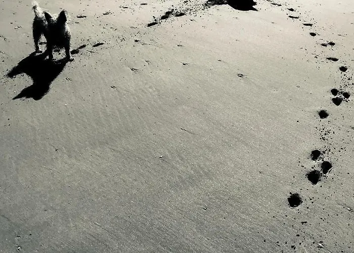 La Bichurie * Feugeres