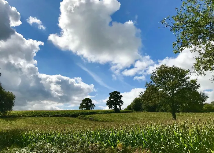 La Bichurie * Feugeres