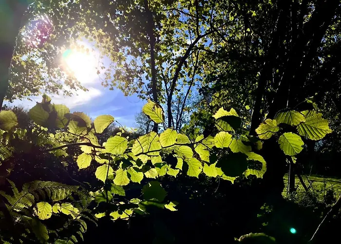 La Bichurie Летний дом *