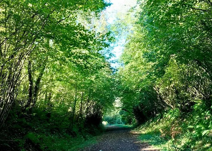 La Bichurie Летний дом Feugeres