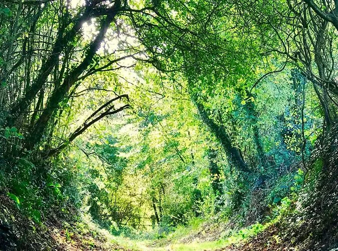 Летний дом La Bichurie Feugeres